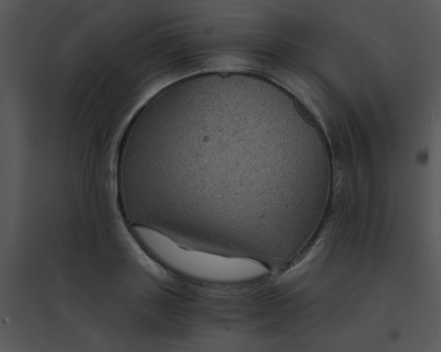 X0000095540843200801041307