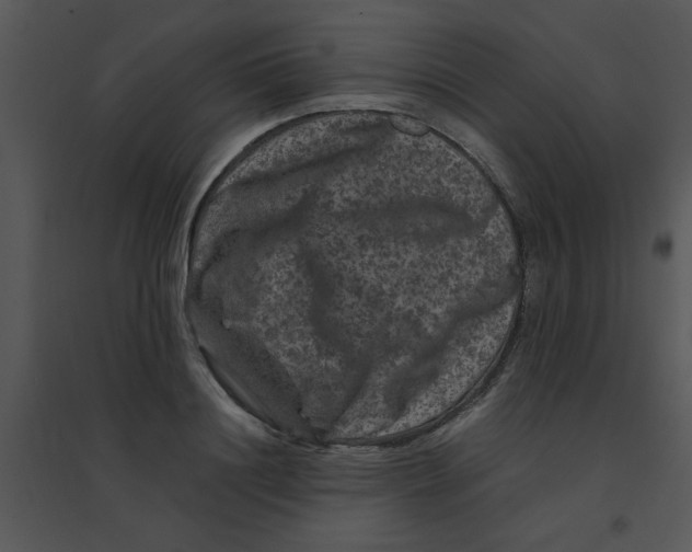 X0000095540844200801041307