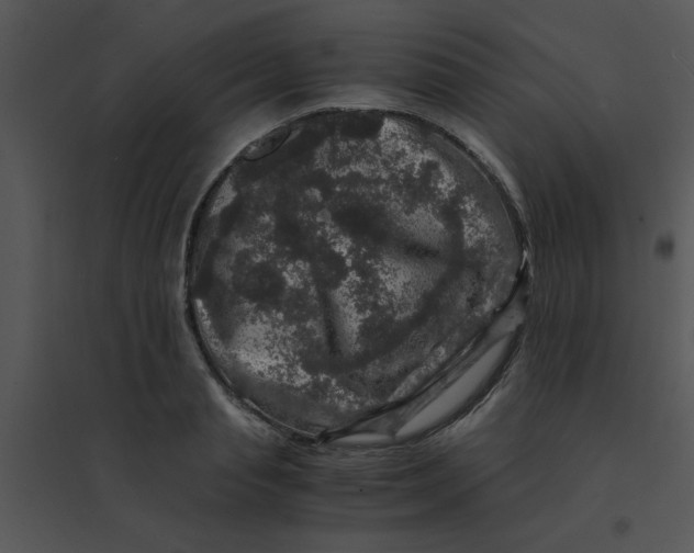 X0000095540845200801041307