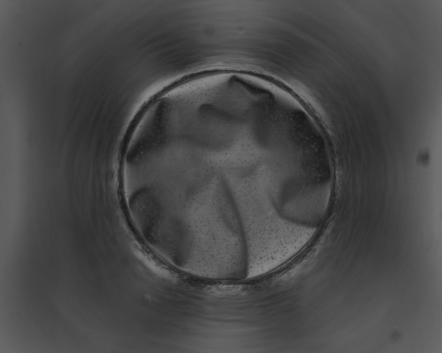 X0000095540846200801041307