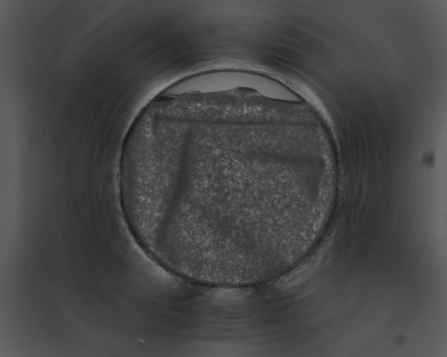 X0000095540847200801041307