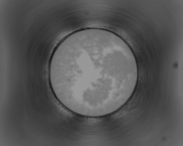 X0000095540848200801041307