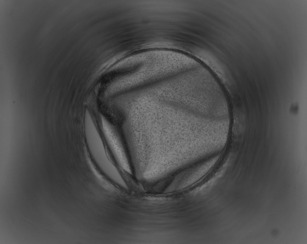 X0000095540849200801041307