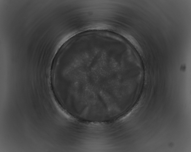 X0000095540850200801041307