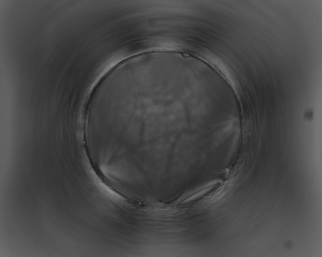 X0000095540851200801041307