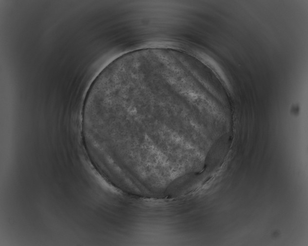 X0000095540852200801041307