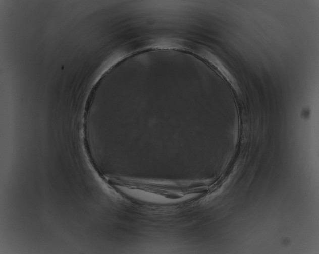 X0000095540853200801041307