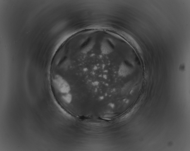 X0000095540855200801041307