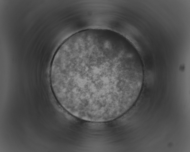 X0000095540856200801041307