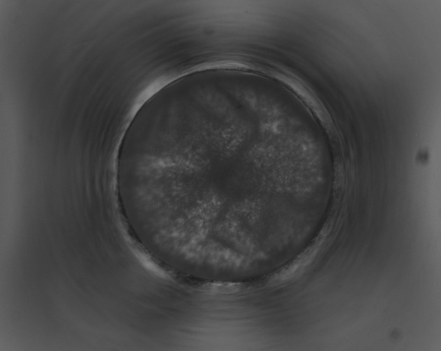 X0000095540858200801041307