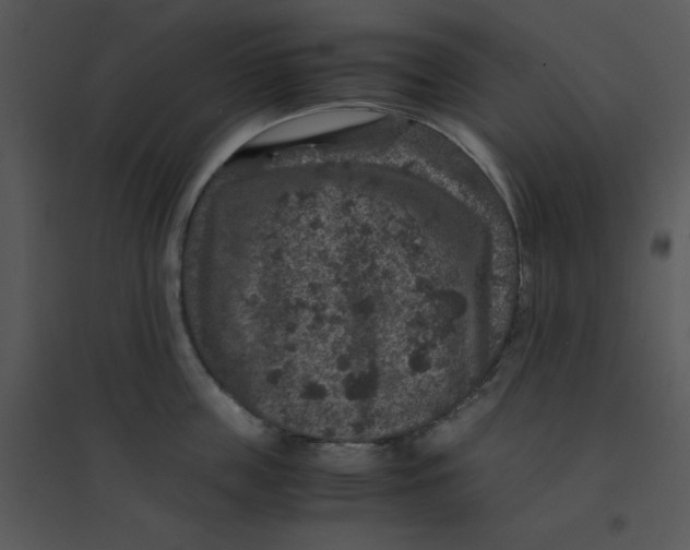 X0000095540859200801041307