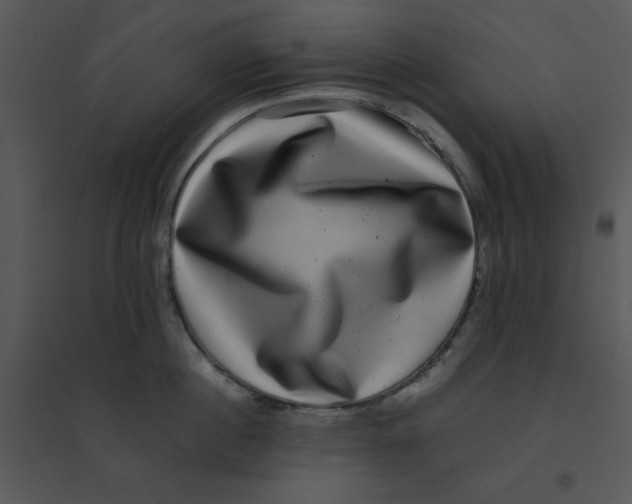 X0000095540860200801041307