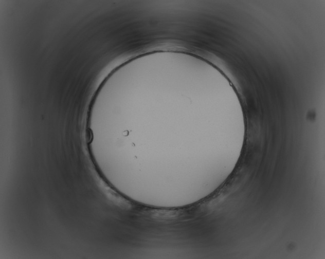 X0000095540861200801041307