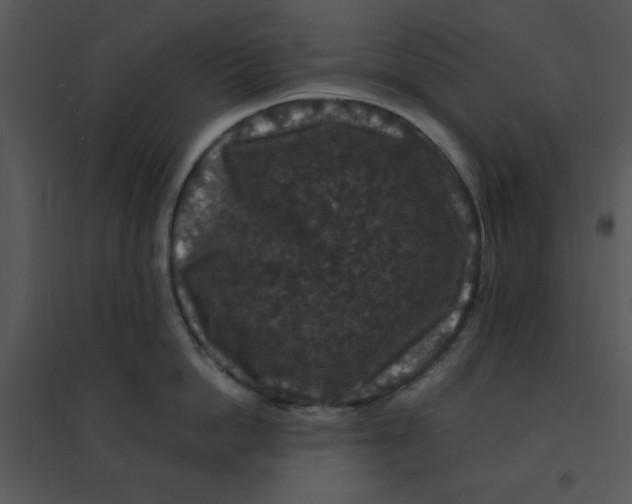 X0000095540862200801041307