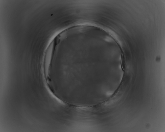 X0000095540863200801041307