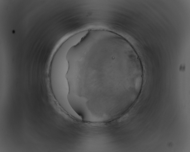 X0000095540864200801041308