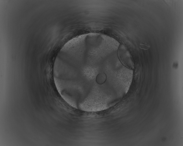 X0000095540866200801041307