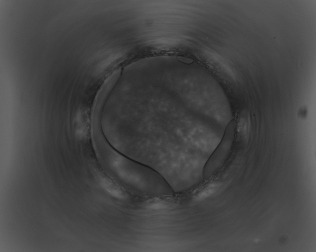 X0000095540868200801041307