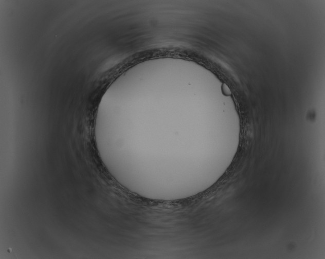 X0000095540869200801041307