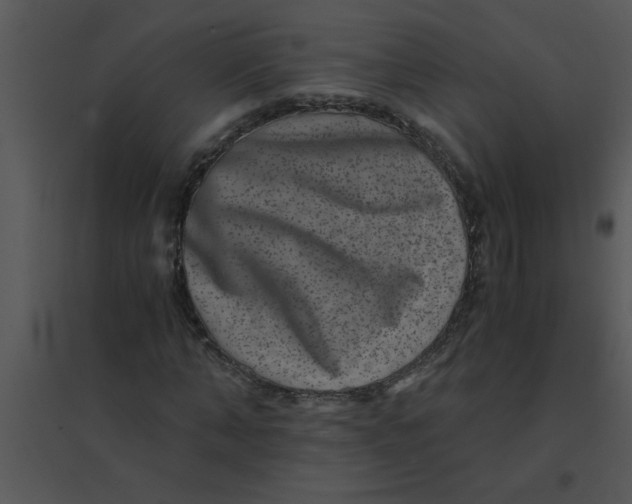 X0000095540870200801041307