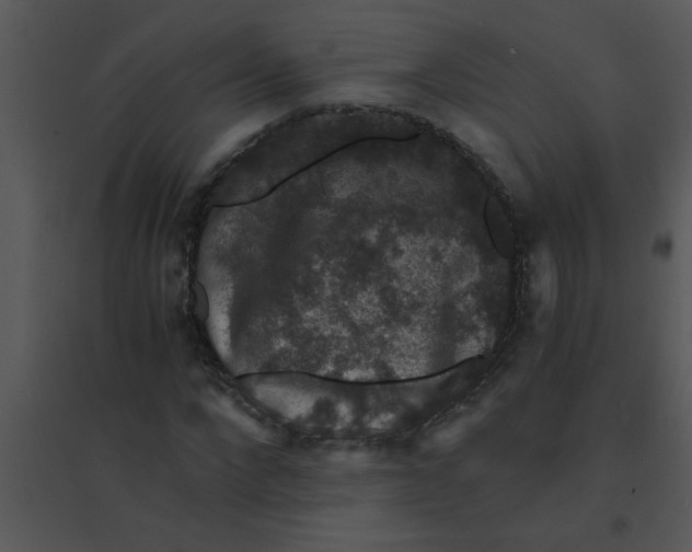 X0000095540872200801041307