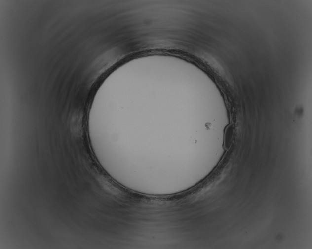 X0000095540873200801041307