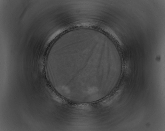 X0000095540874200801041307