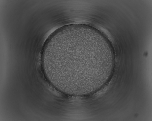 X0000095540875200801041307