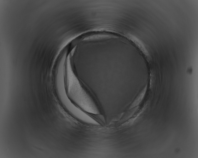 X0000095540876200801041307