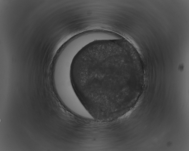 X0000095540877200801041307