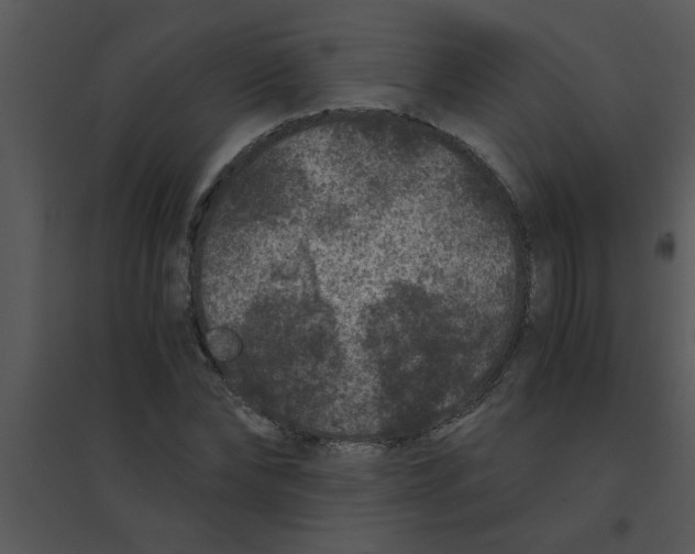 X0000095540878200801041307