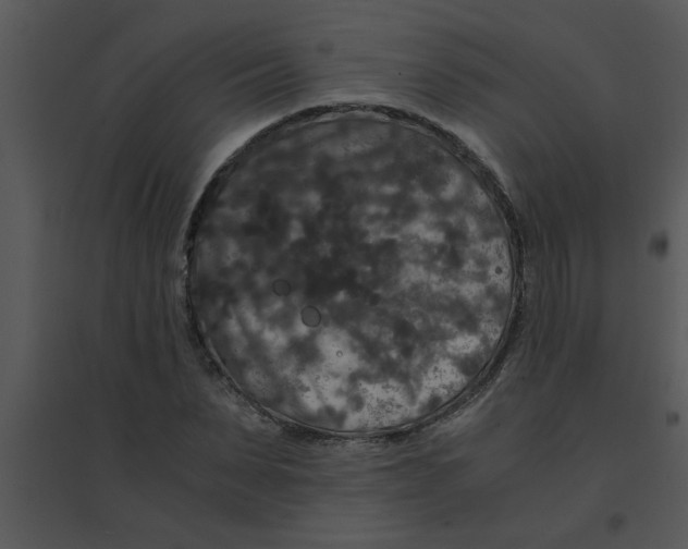 X0000095540879200801041307