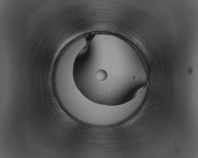 X0000095540880200801041307