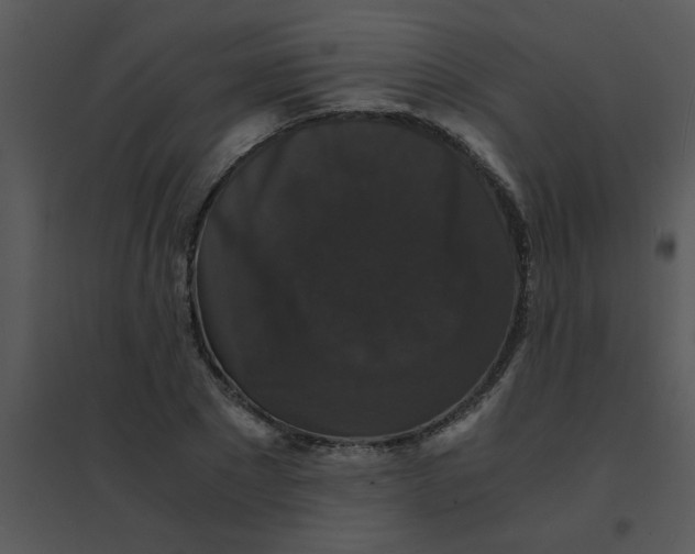 X0000095540881200801041307