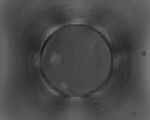 X0000095540882200801041307