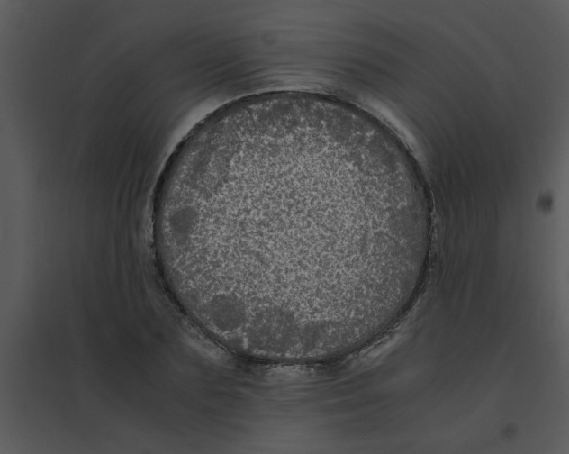 X0000095540883200801041307