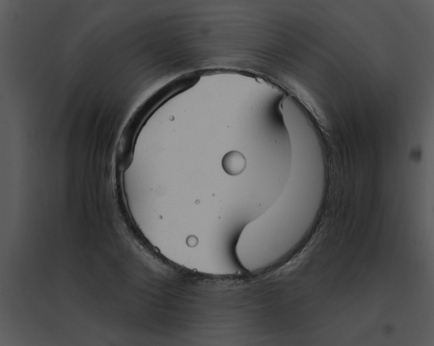 X0000095540884200801041307