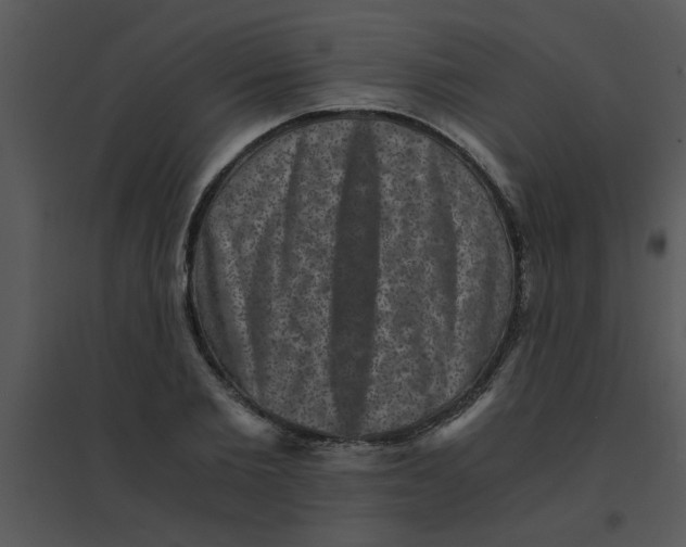 X0000095540885200801041307