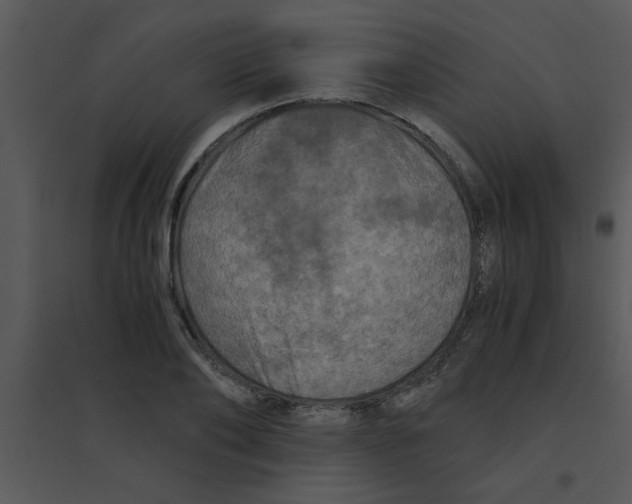 X0000095540886200801041307