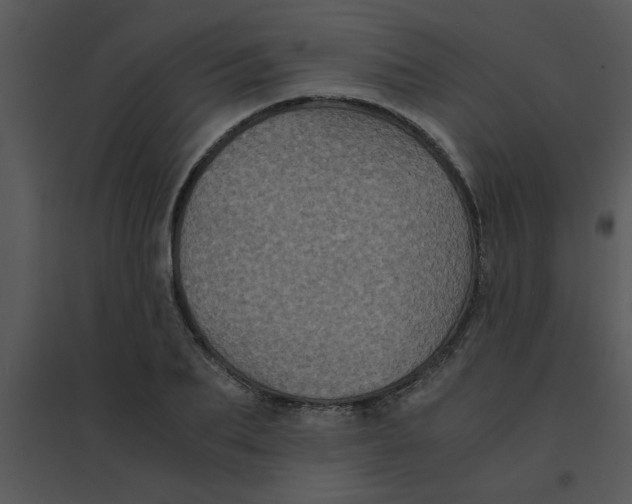 X0000095540887200801041307