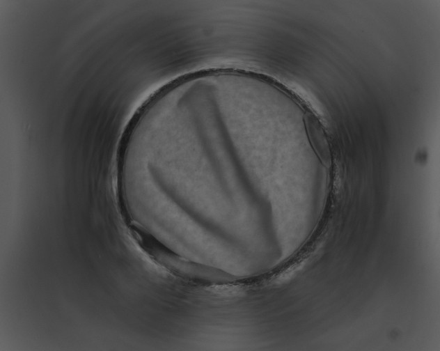 X0000095540888200801041307