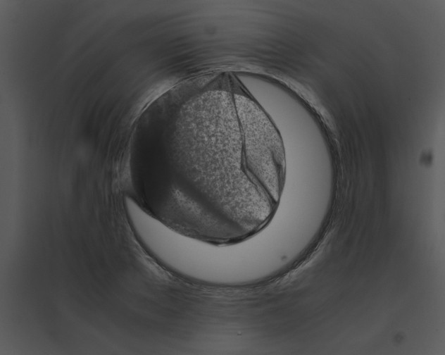 X0000095540889200801041307