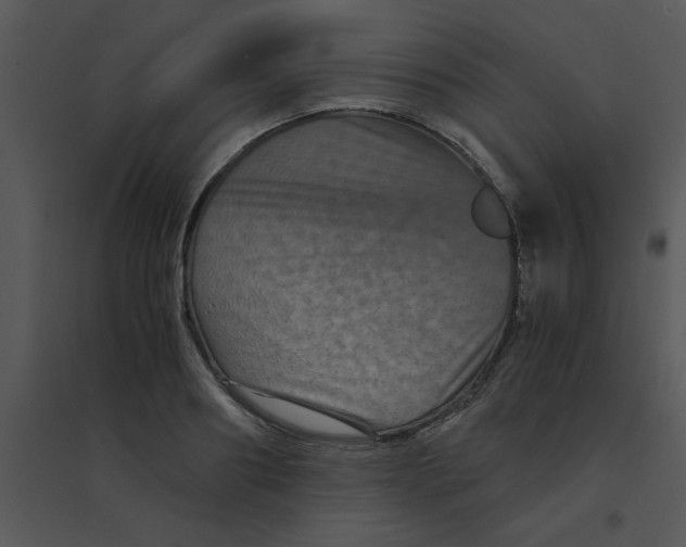 X0000095540890200801041306