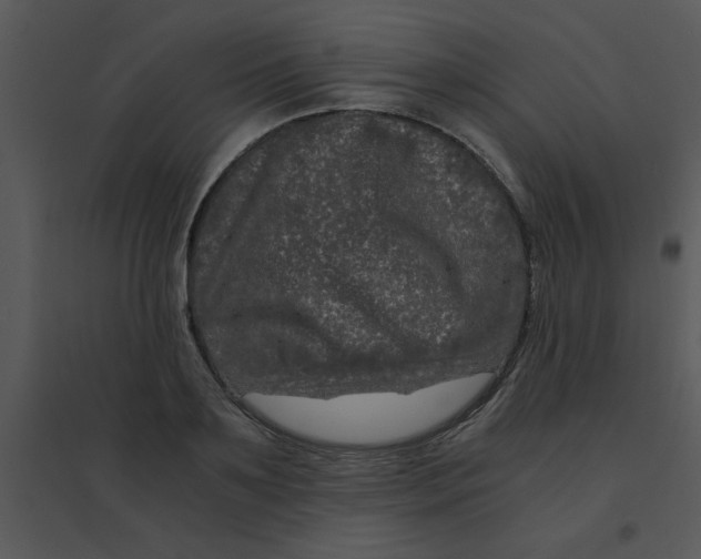 X0000095540891200801041306