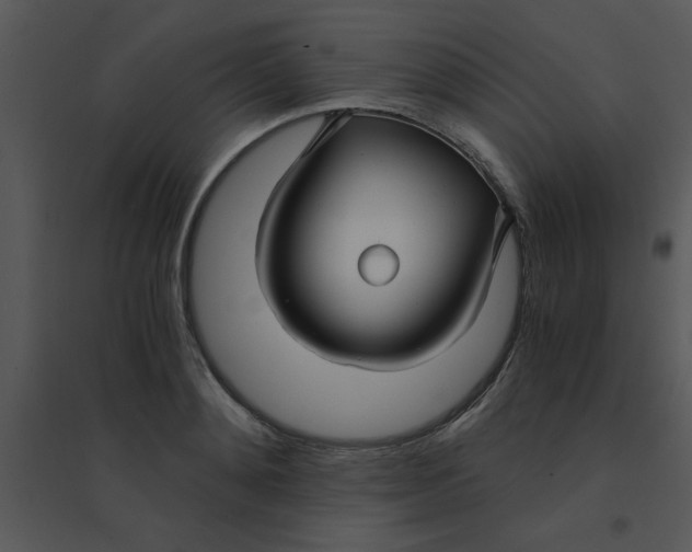 X0000095540892200801041306