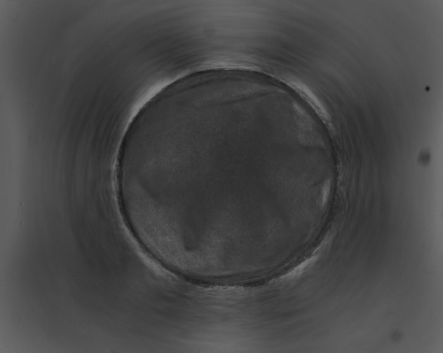 X0000095540893200801041306