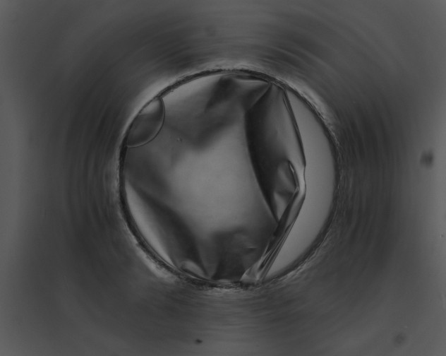 X0000095540894200801041306