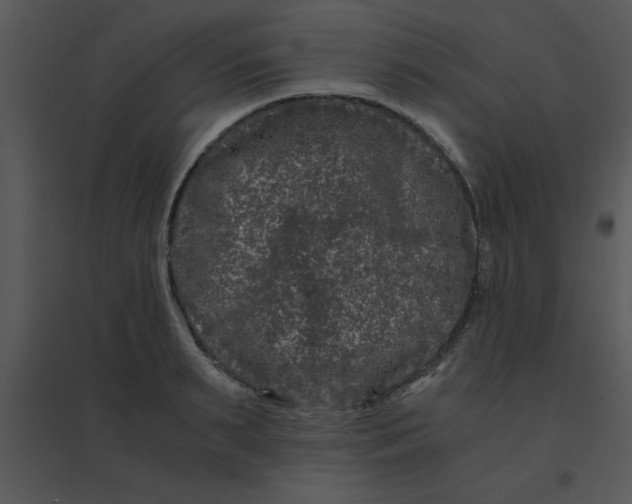 X0000095540895200801041306