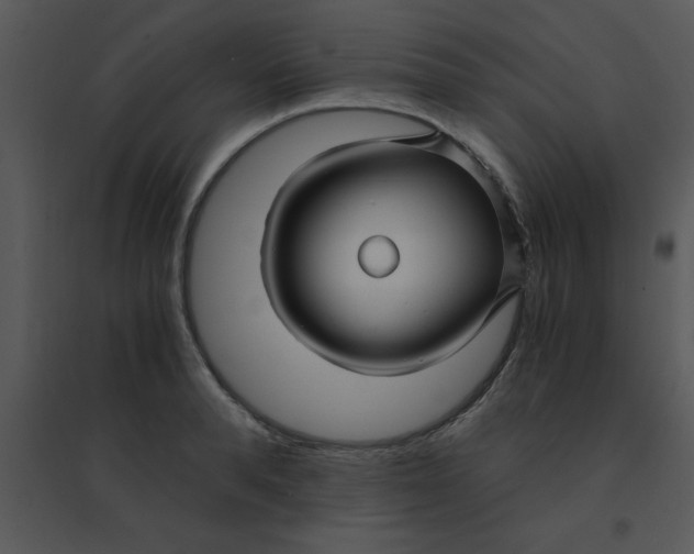 X0000095540896200801041306