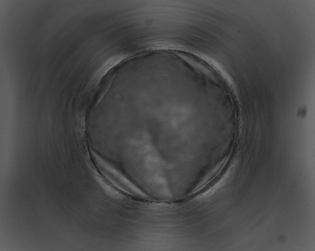 X0000095540897200801041306